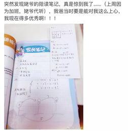 热门大瓜子 笔记,揭秘网红零食背后的故事