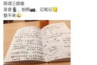 热门大瓜子 笔记,揭秘网红零食背后的故事