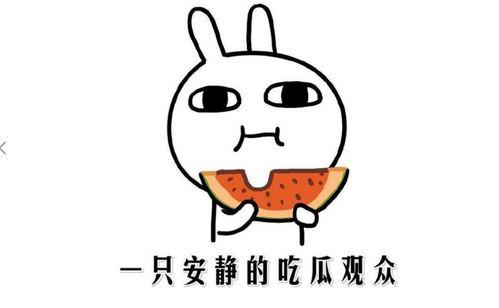 吃瓜网,吃瓜网带你领略明星幕后故事