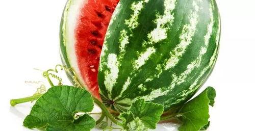 最近大瓜事件 朝阳吃瓜网51,近期大瓜事件幕后真相