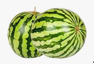 52每日大瓜视频